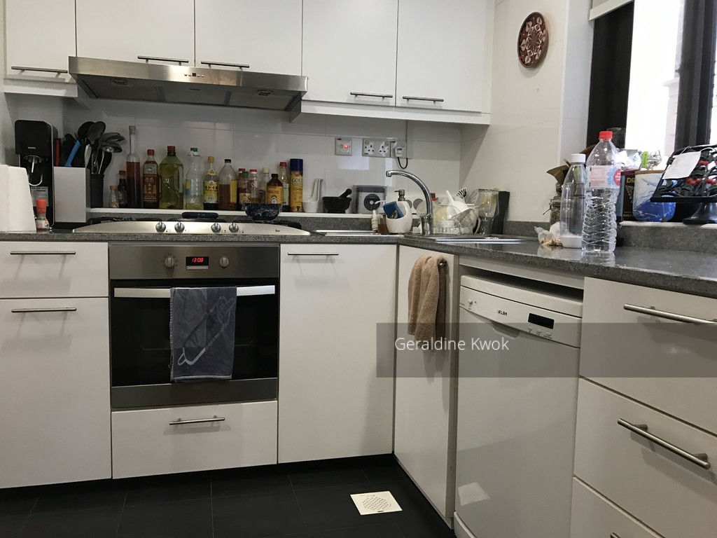The Mayfair (D22), Condominium #186739832